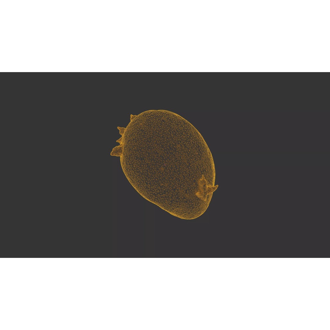 Sprouted Potato 3D Model – Low Poly Photogrammetry Game Asset, FBX - View 46