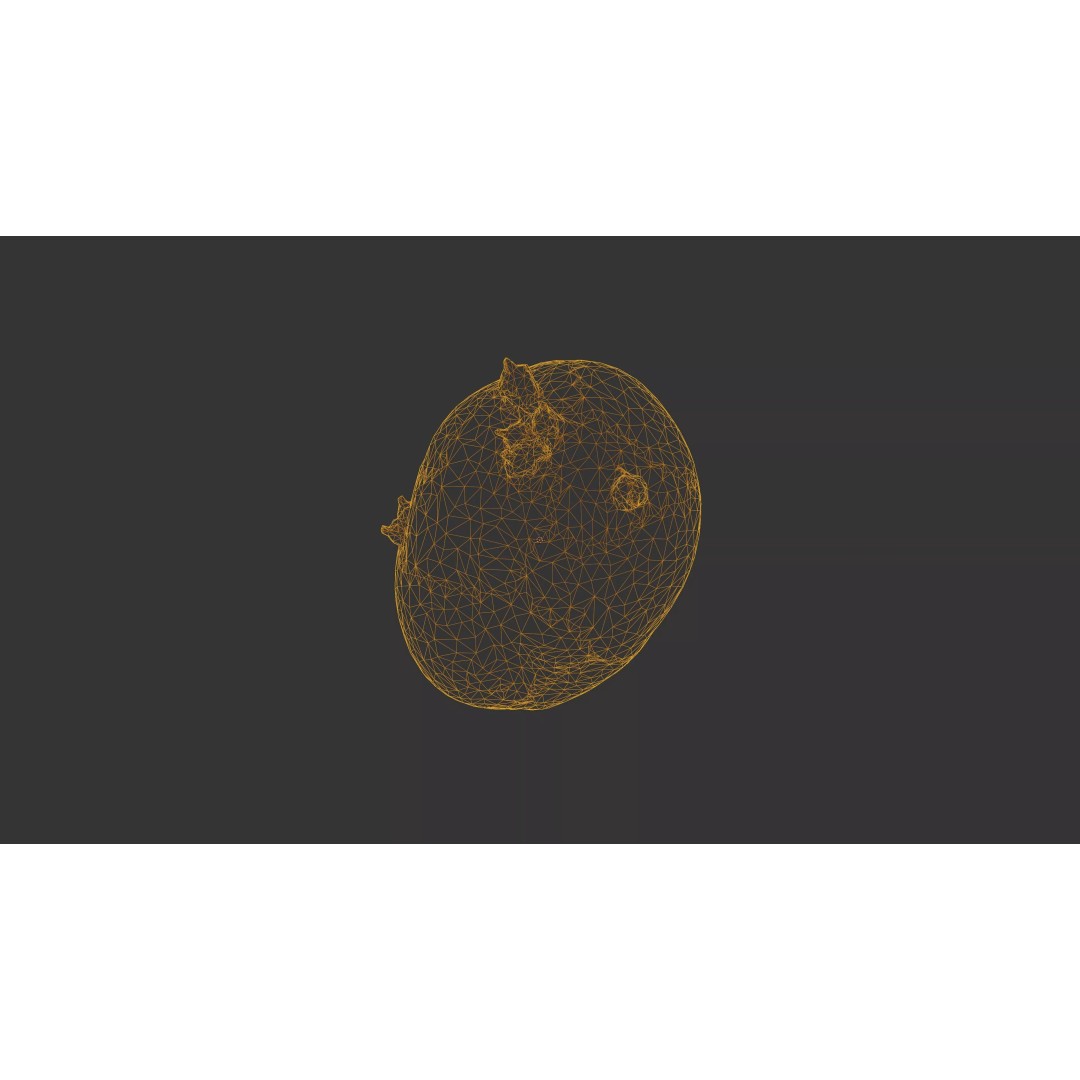 Sprouted Potato 3D Model – Low Poly Photogrammetry Game Asset, FBX - View 47