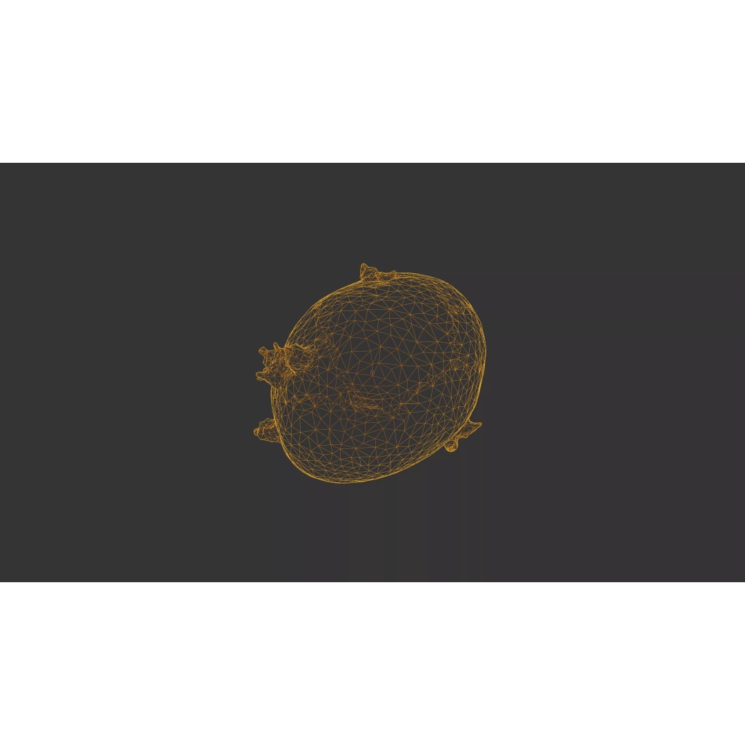 Sprouted Potato 3D Model – Low Poly Photogrammetry Game Asset, FBX - View 48