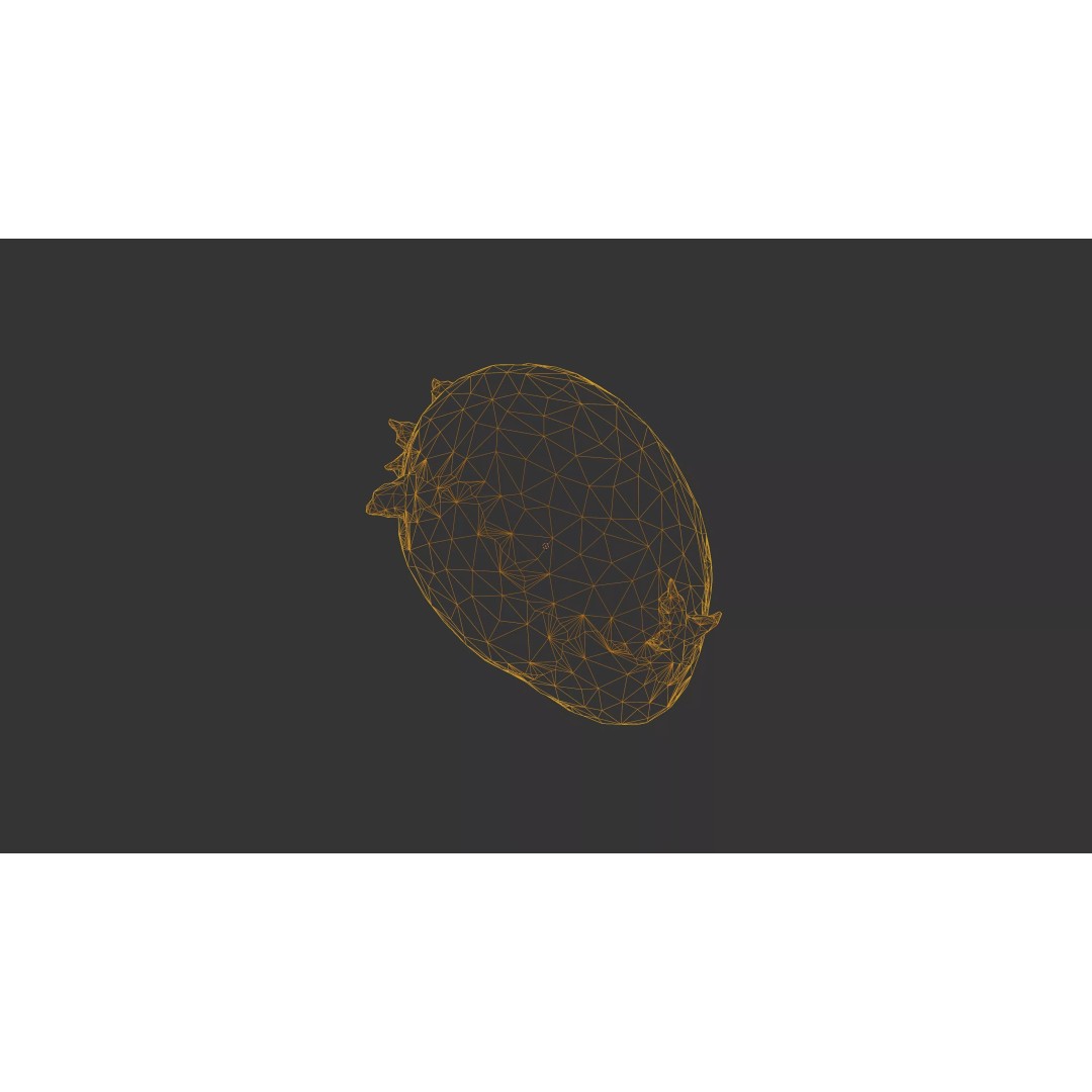 Sprouted Potato 3D Model – Low Poly Photogrammetry Game Asset, FBX - View 49