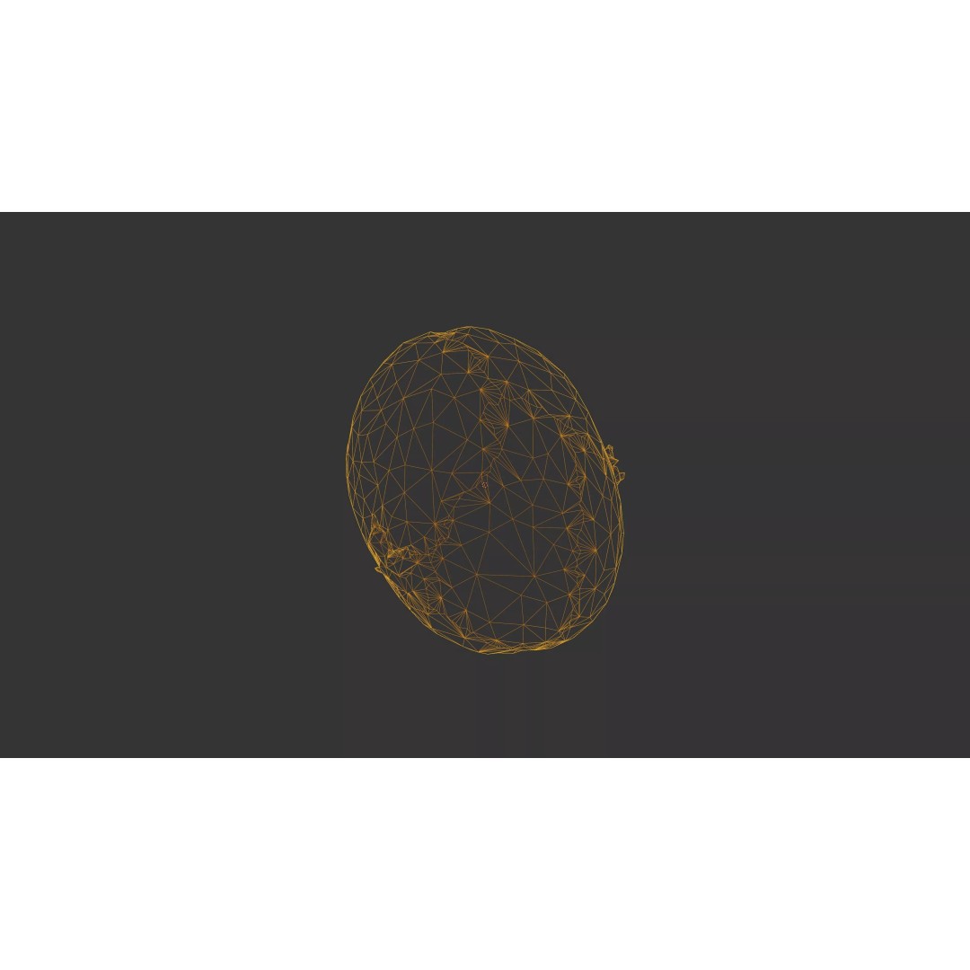 Sprouted Potato 3D Model – Low Poly Photogrammetry Game Asset, FBX - View 50