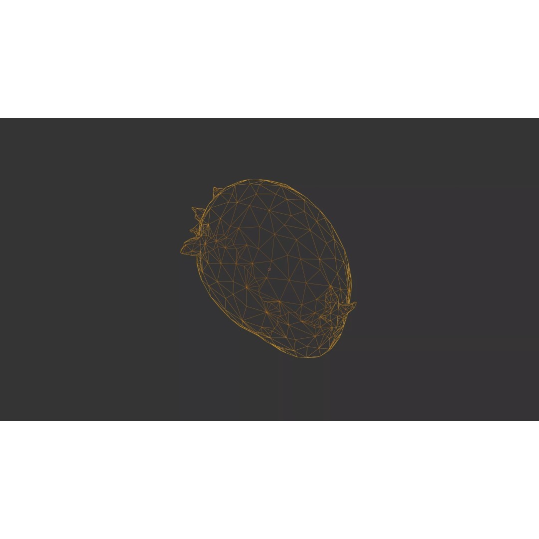 Sprouted Potato 3D Model – Low Poly Photogrammetry Game Asset, FBX - View 51
