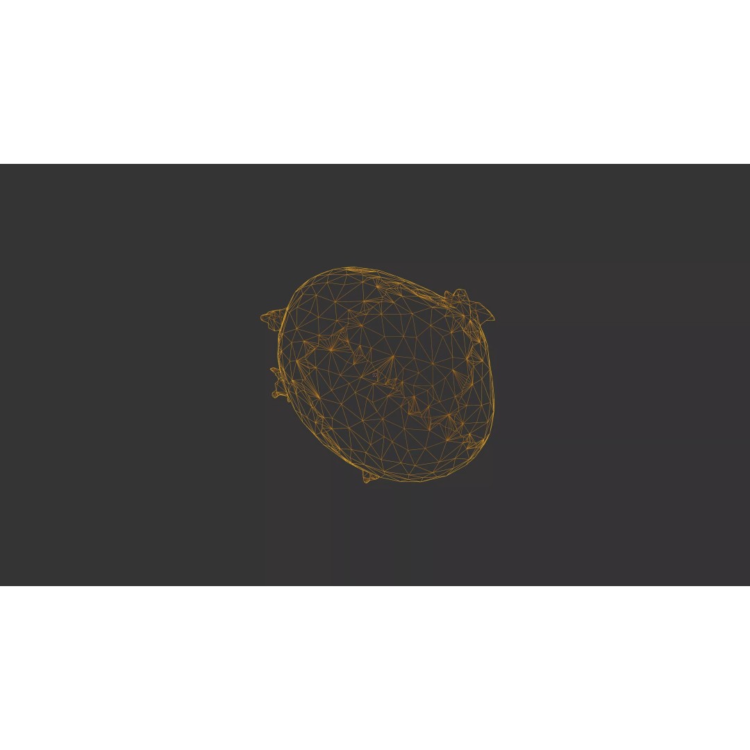 Sprouted Potato 3D Model – Low Poly Photogrammetry Game Asset, FBX - View 52