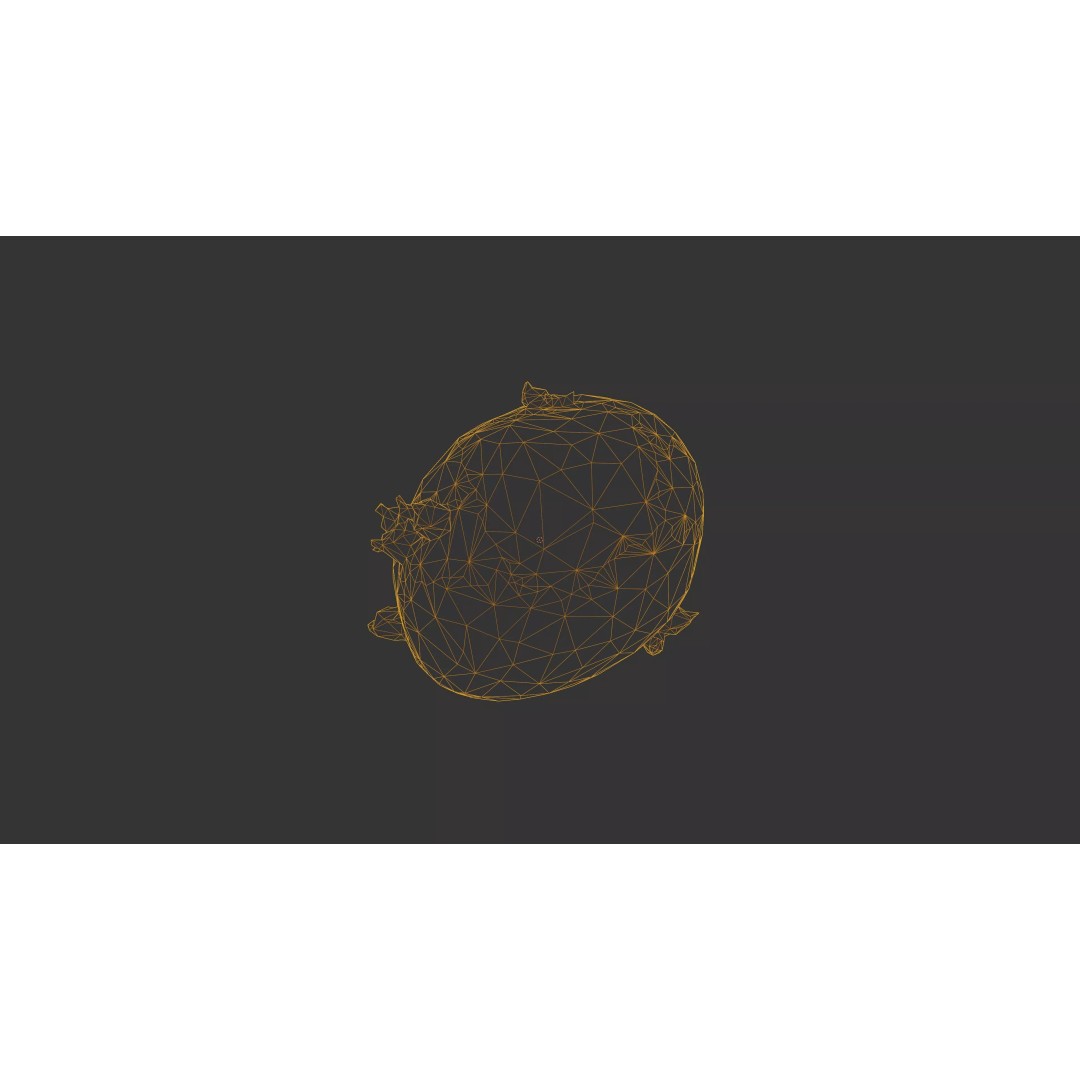 Sprouted Potato 3D Model – Low Poly Photogrammetry Game Asset, FBX - View 53