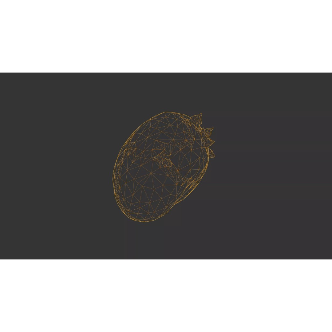 Sprouted Potato 3D Model – Low Poly Photogrammetry Game Asset, FBX - View 54