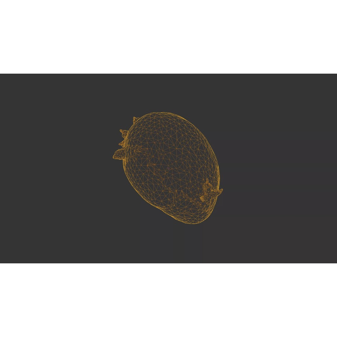 Sprouted Potato 3D Model – Low Poly Photogrammetry Game Asset, FBX - View 55