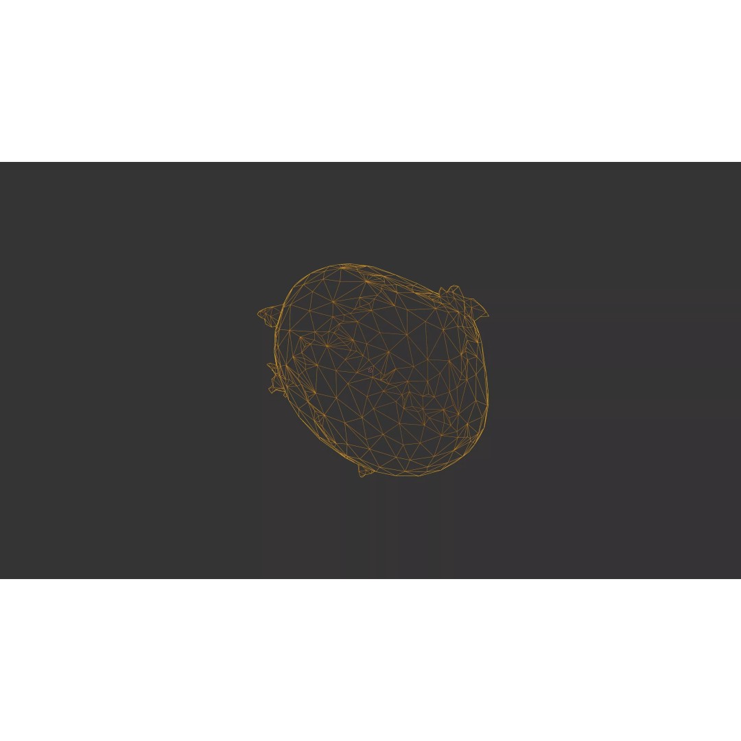 Sprouted Potato 3D Model – Low Poly Photogrammetry Game Asset, FBX - View 56
