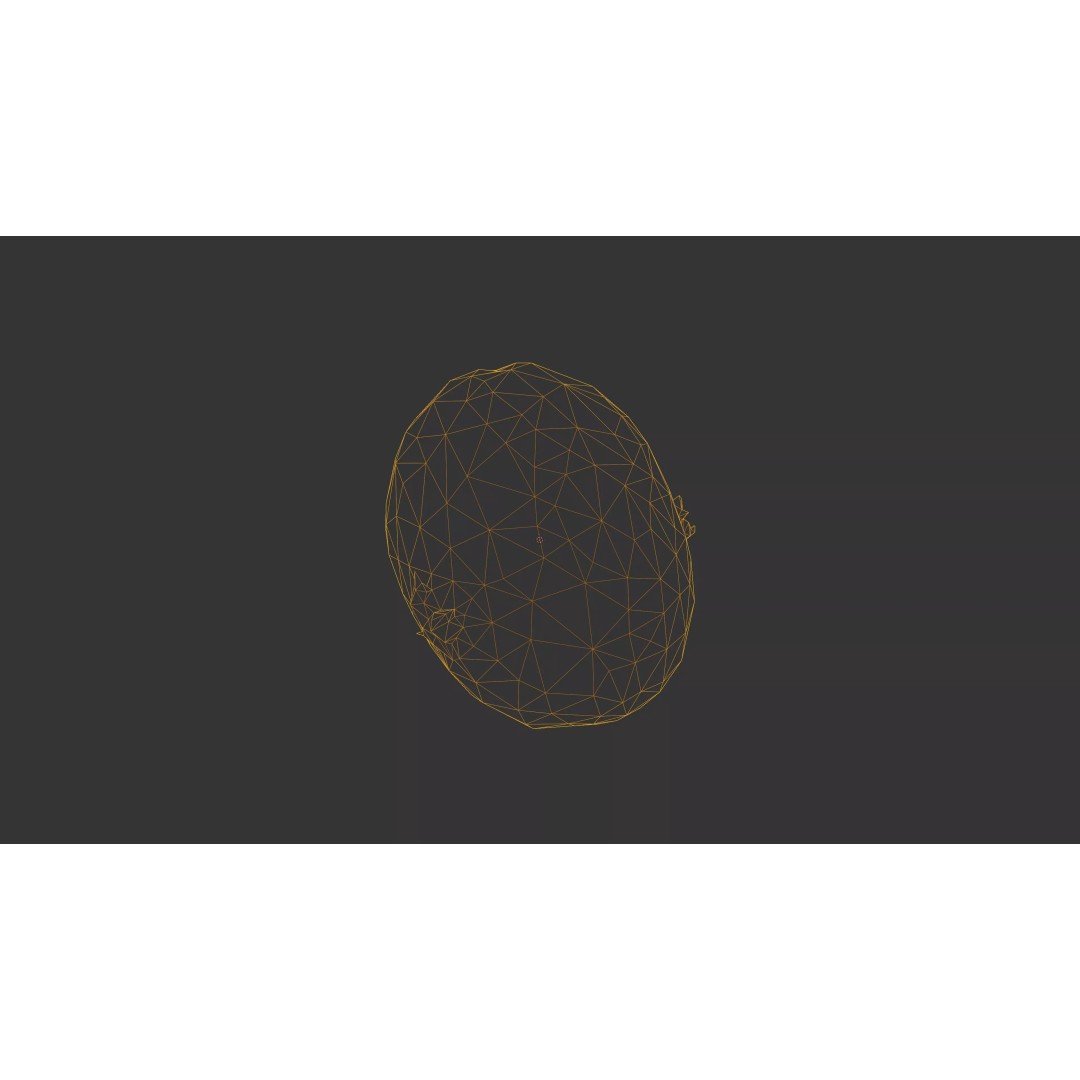 Sprouted Potato 3D Model – Low Poly Photogrammetry Game Asset, FBX - View 57