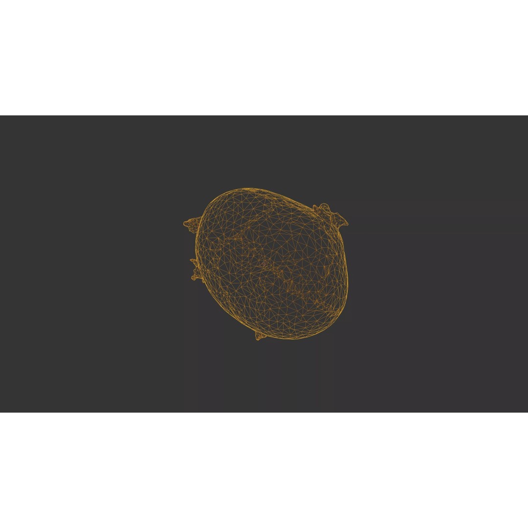 Sprouted Potato 3D Model – Low Poly Photogrammetry Game Asset, FBX - View 60