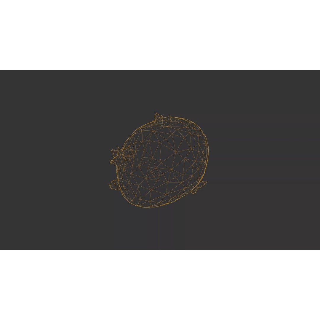 Sprouted Potato 3D Model – Low Poly Photogrammetry Game Asset, FBX - View 61