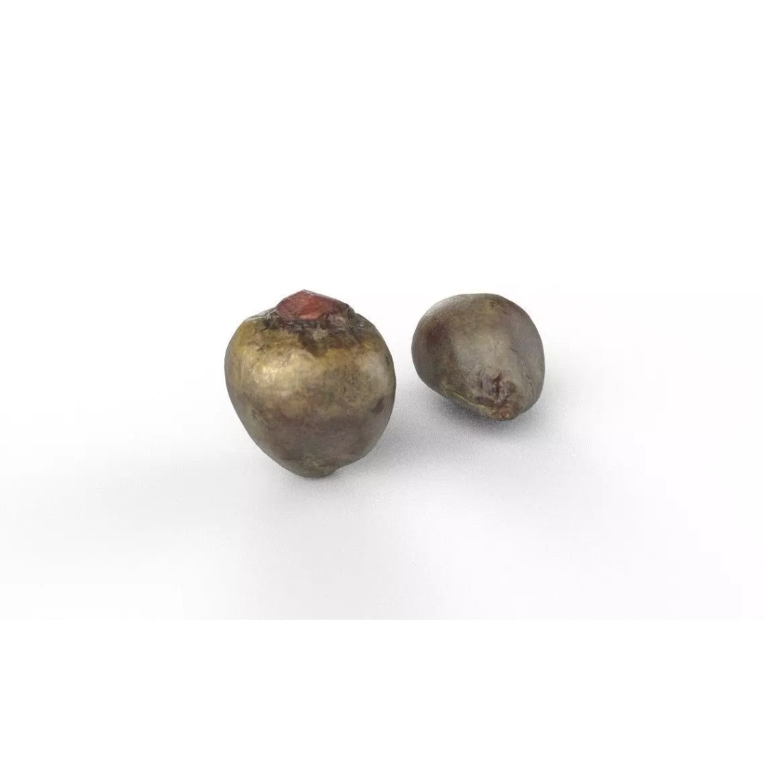 Beetroot 3D Model – Low Poly Game Asset, FBX, PBR Textures - View 2