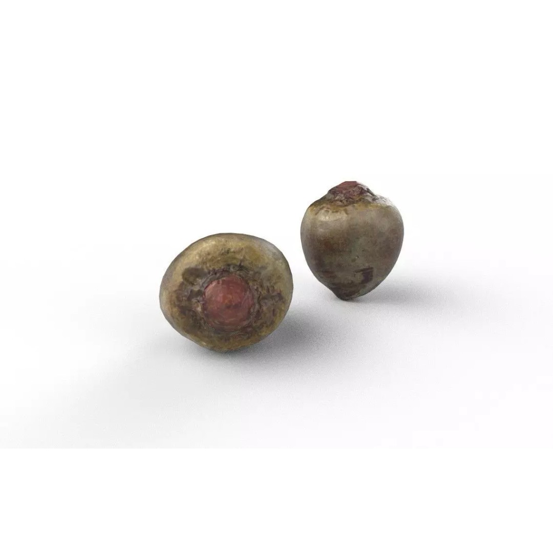 Beetroot 3D Model – Low Poly Game Asset, FBX, PBR Textures - View 6