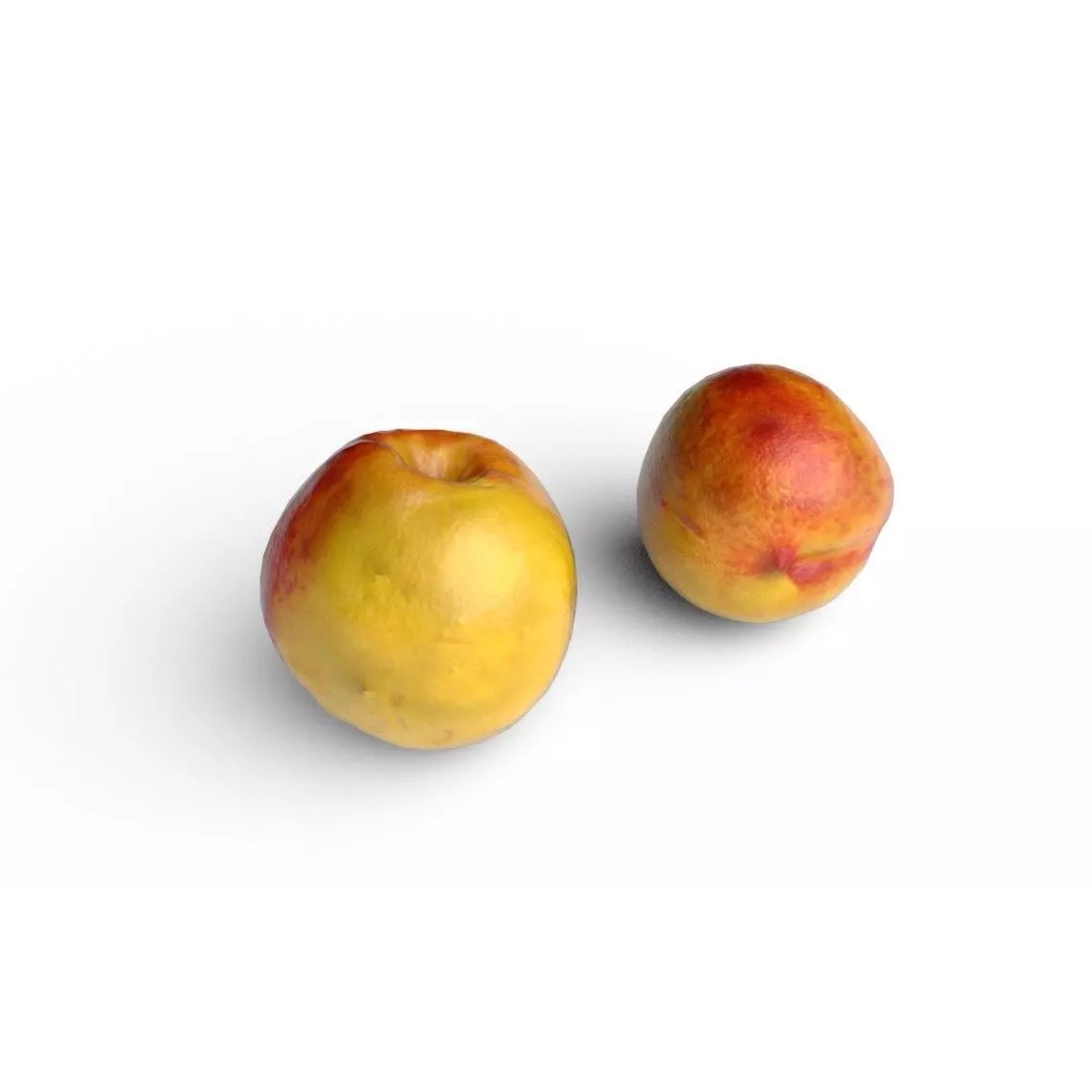 Nectarine 3D Model – Low Poly Game Asset, FBX, PBR Textures - View 2