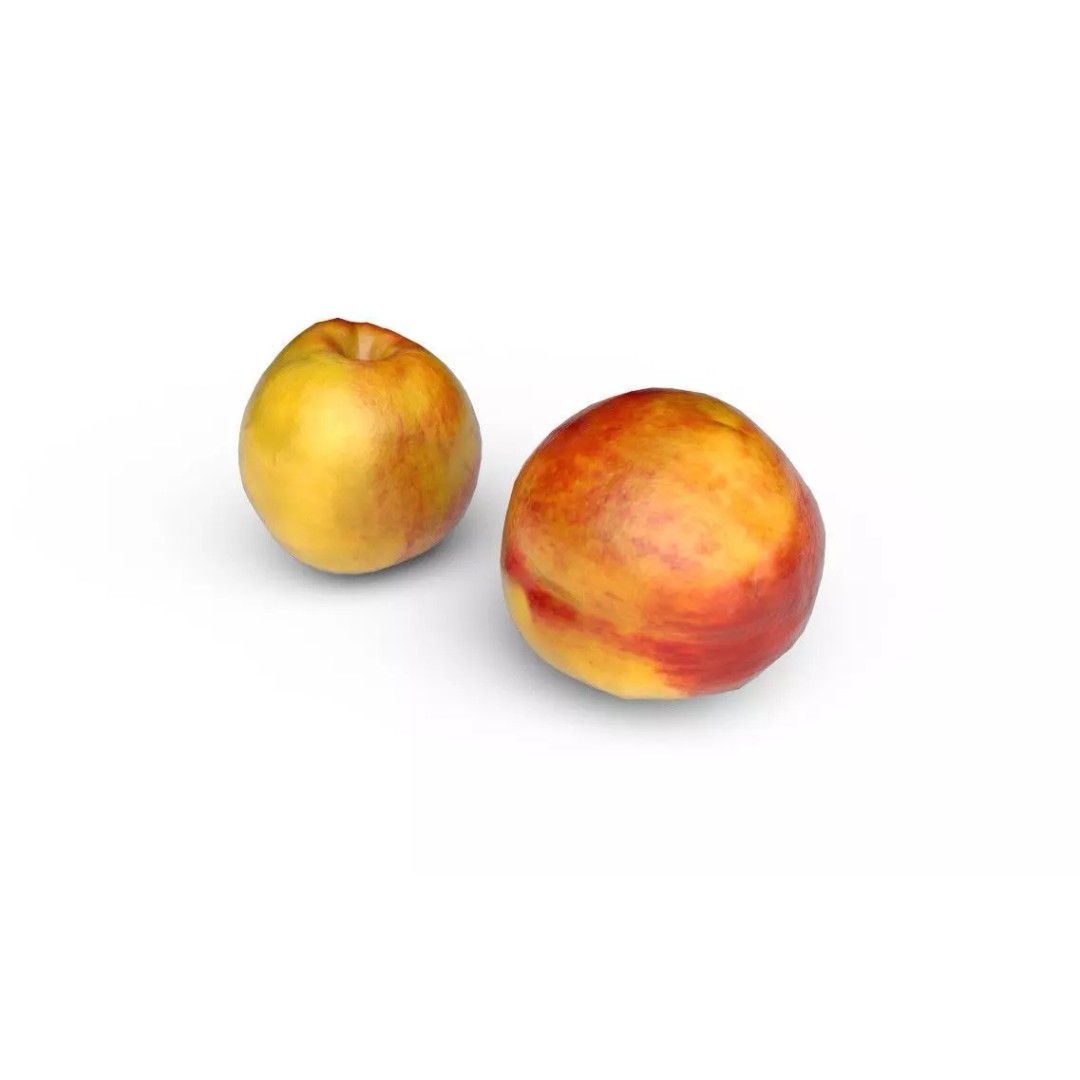 Nectarine 3D Model – Low Poly Game Asset, FBX, PBR Textures - View 5