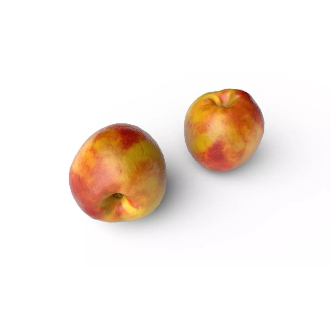 Nectarine 3D Model – Low Poly Game Asset, FBX, PBR Textures - View 6