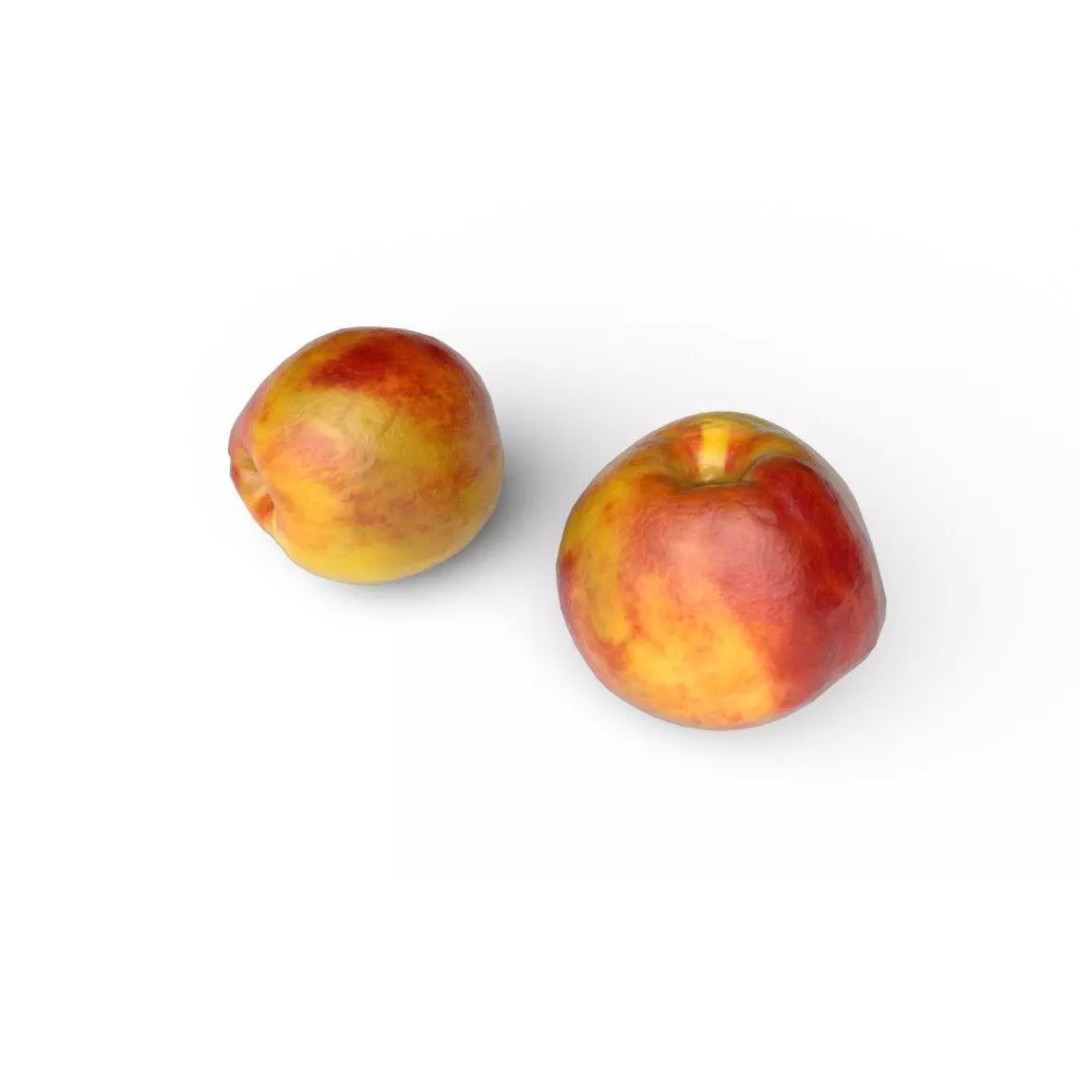 Nectarine 3D Model – Low Poly Game Asset, FBX, PBR Textures - View 7