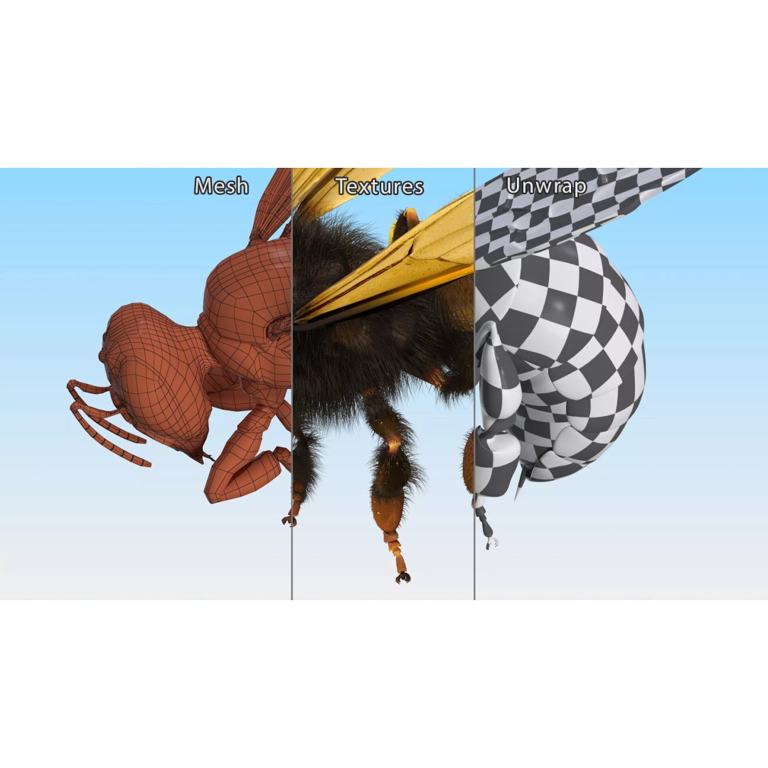 Honeybee 3D Model – High Quality PBR Insect Asset, FBX, OBJ - View 16