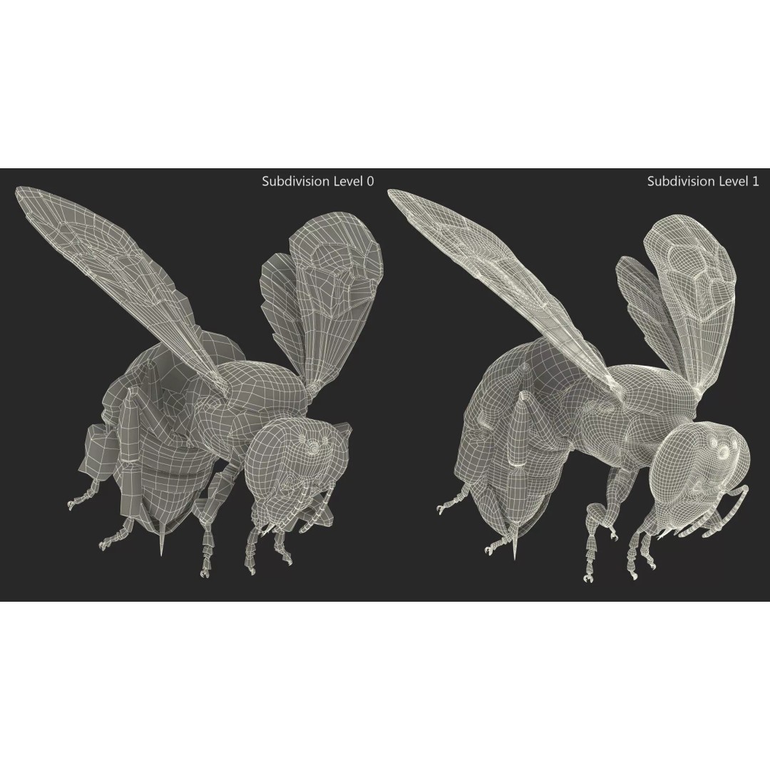 Honeybee 3D Model – High Quality PBR Insect Asset, FBX, OBJ - View 17