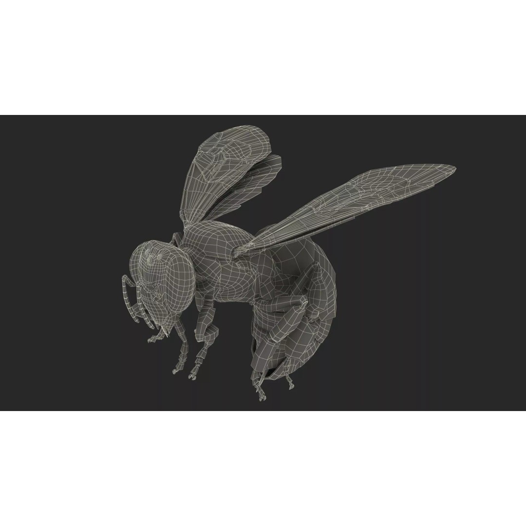 Honeybee 3D Model – High Quality PBR Insect Asset, FBX, OBJ - View 21