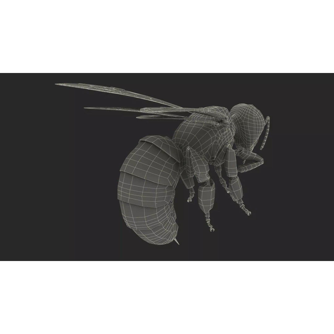 Honeybee 3D Model – High Quality PBR Insect Asset, FBX, OBJ - View 22