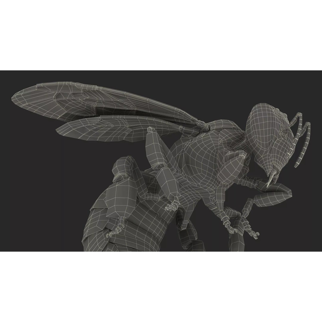 Honeybee 3D Model – High Quality PBR Insect Asset, FBX, OBJ - View 23
