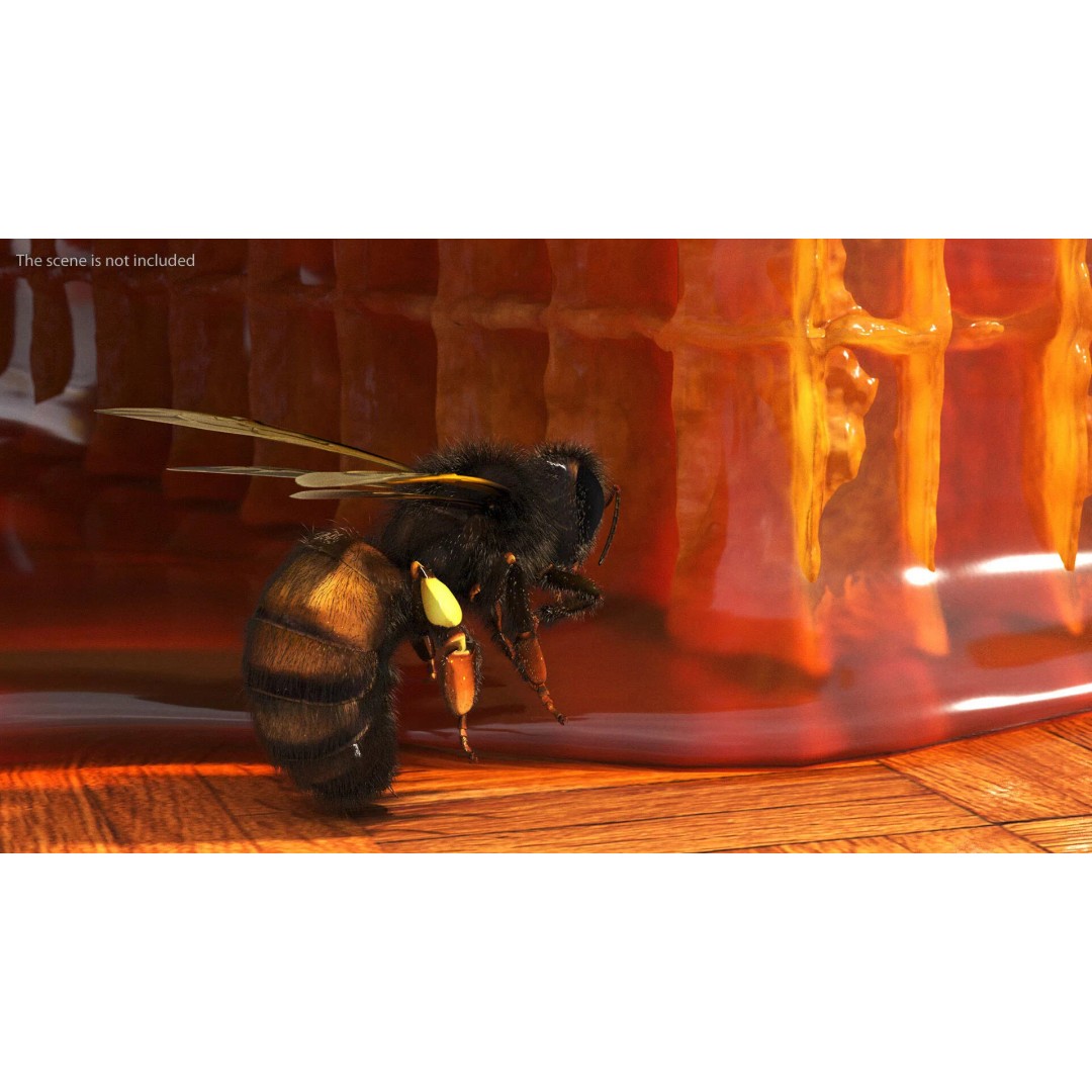 Honeybee 3D Model – High Quality PBR Insect Asset, FBX, OBJ - View 3
