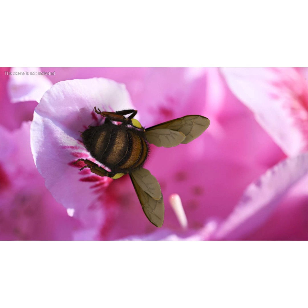 Honeybee 3D Model – High Quality PBR Insect Asset, FBX, OBJ - View 6