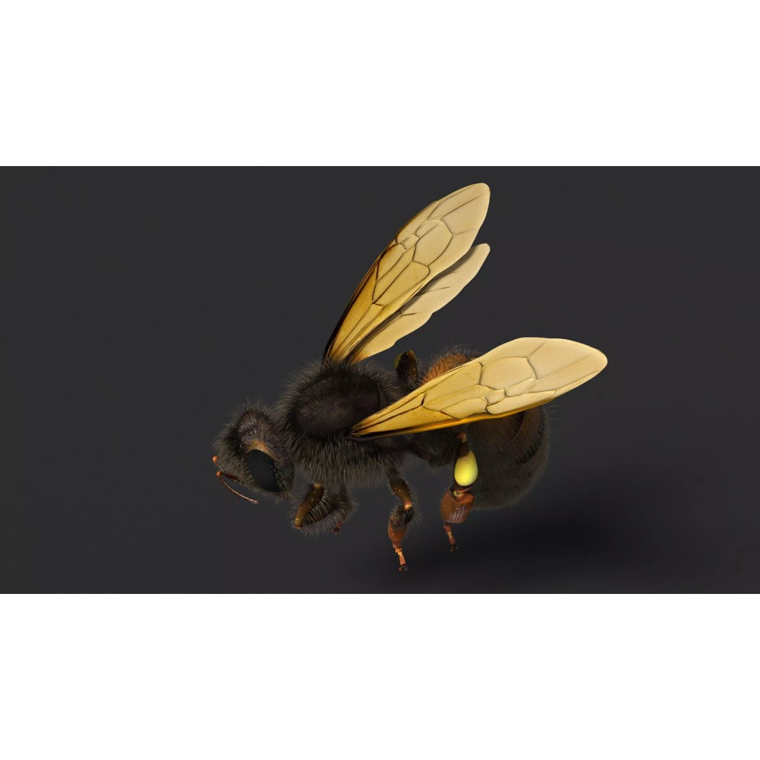Honeybee 3D Model – High Quality PBR Insect Asset, FBX, OBJ - View 7