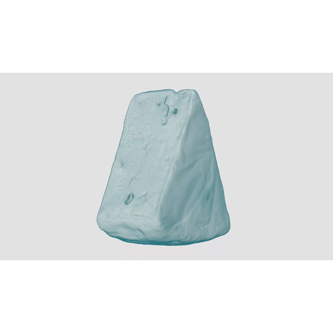 Pepper Camembert Cheese Wedge 3D Model – Low Poly Photogrammetry Asset, FBX - View 12