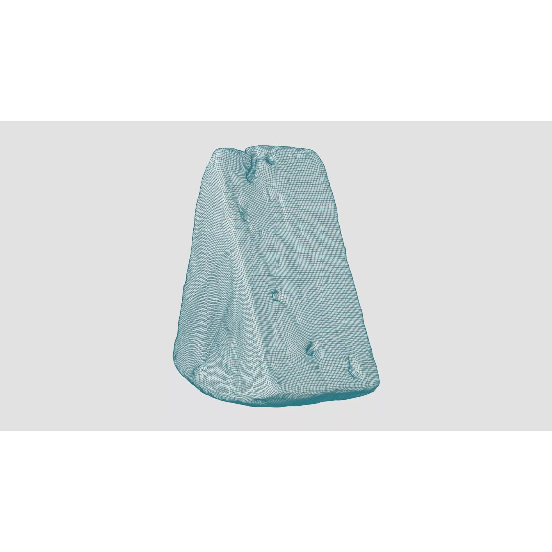 Pepper Camembert Cheese Wedge 3D Model – Low Poly Photogrammetry Asset, FBX - View 14