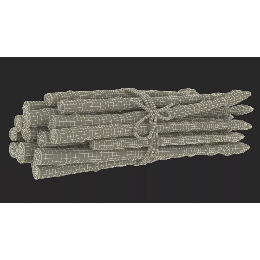 Fresh White Asparagus Spears 3D Model – High Quality PBR Asset, FBX/OBJ