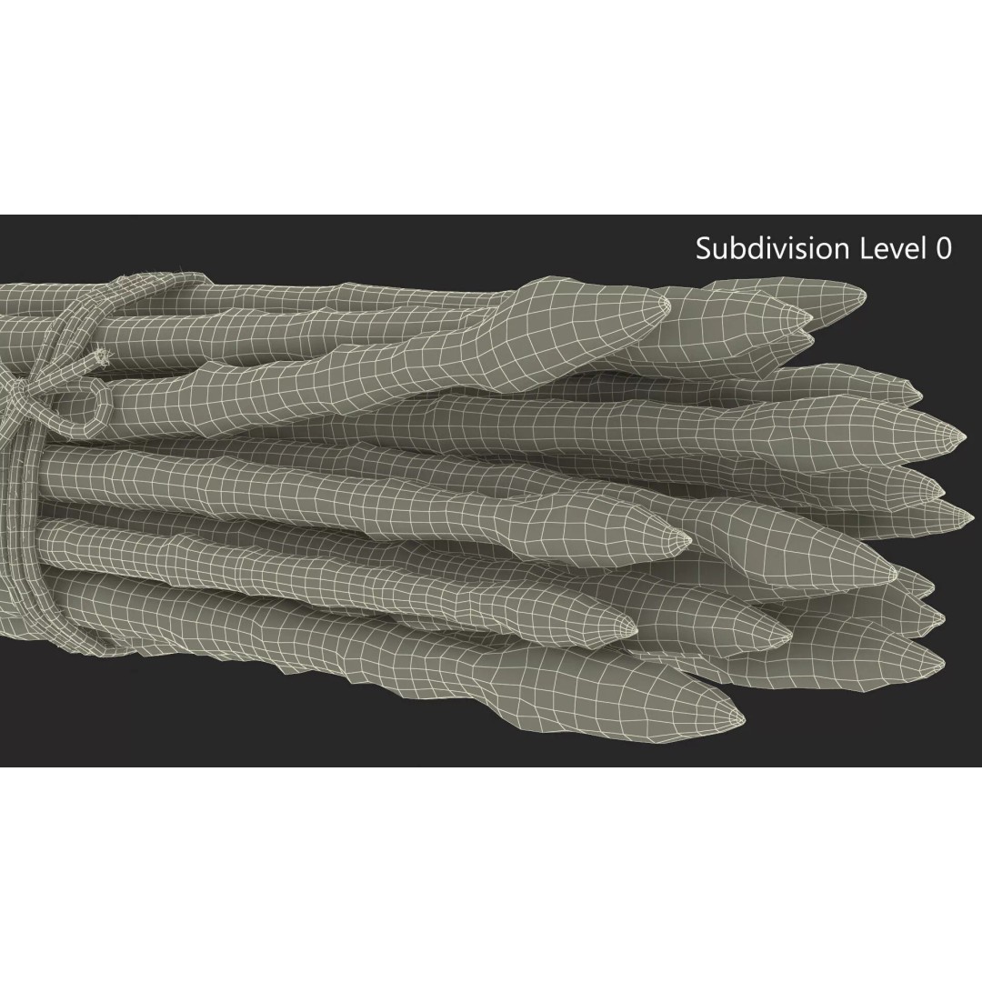 Fresh White Asparagus Spears 3D Model – High Quality PBR Asset, FBX/OBJ - View 10