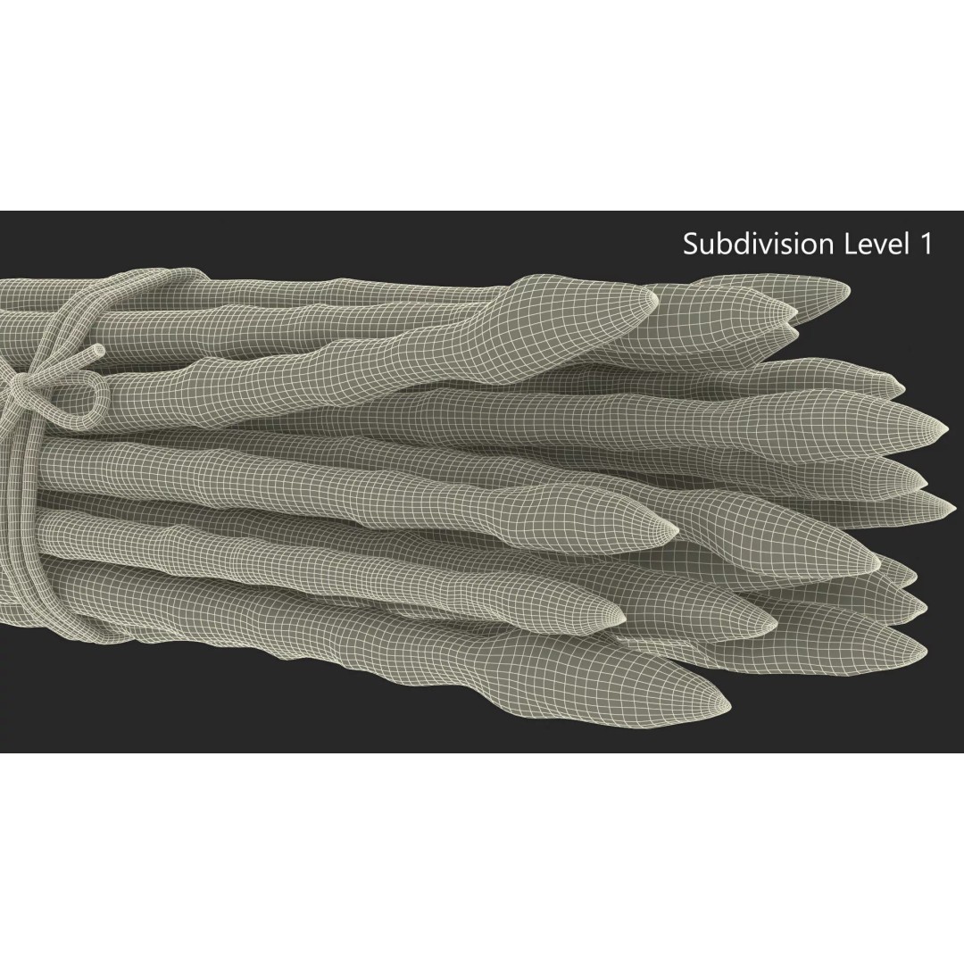 Fresh White Asparagus Spears 3D Model – High Quality PBR Asset, FBX/OBJ - View 11