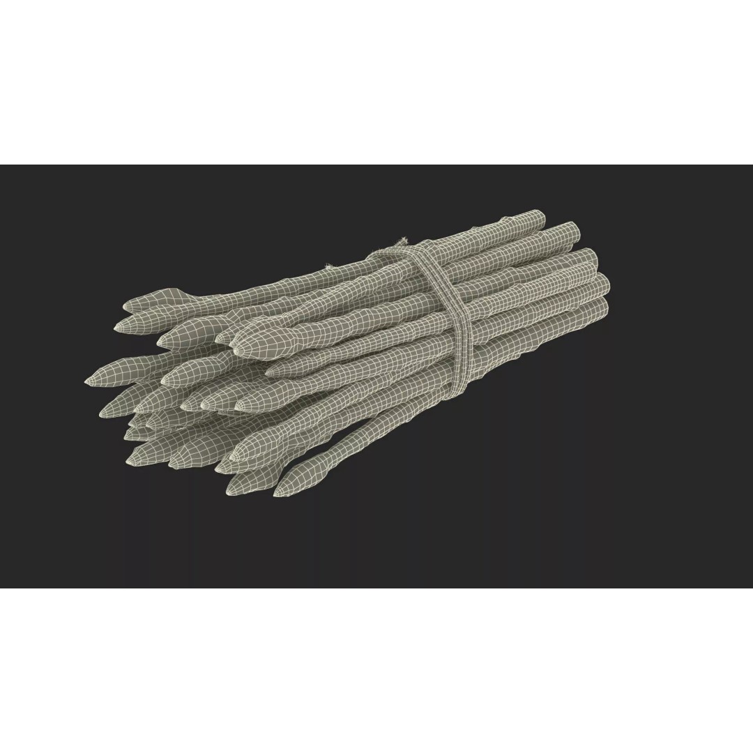 Fresh White Asparagus Spears 3D Model – High Quality PBR Asset, FBX/OBJ - View 15