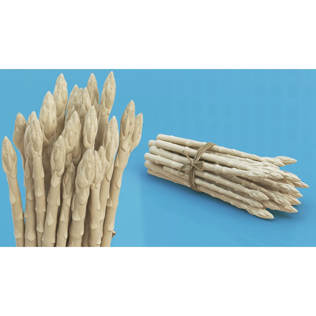 Fresh White Asparagus Spears 3D Model – High Quality PBR Asset, FBX/OBJ - View 2