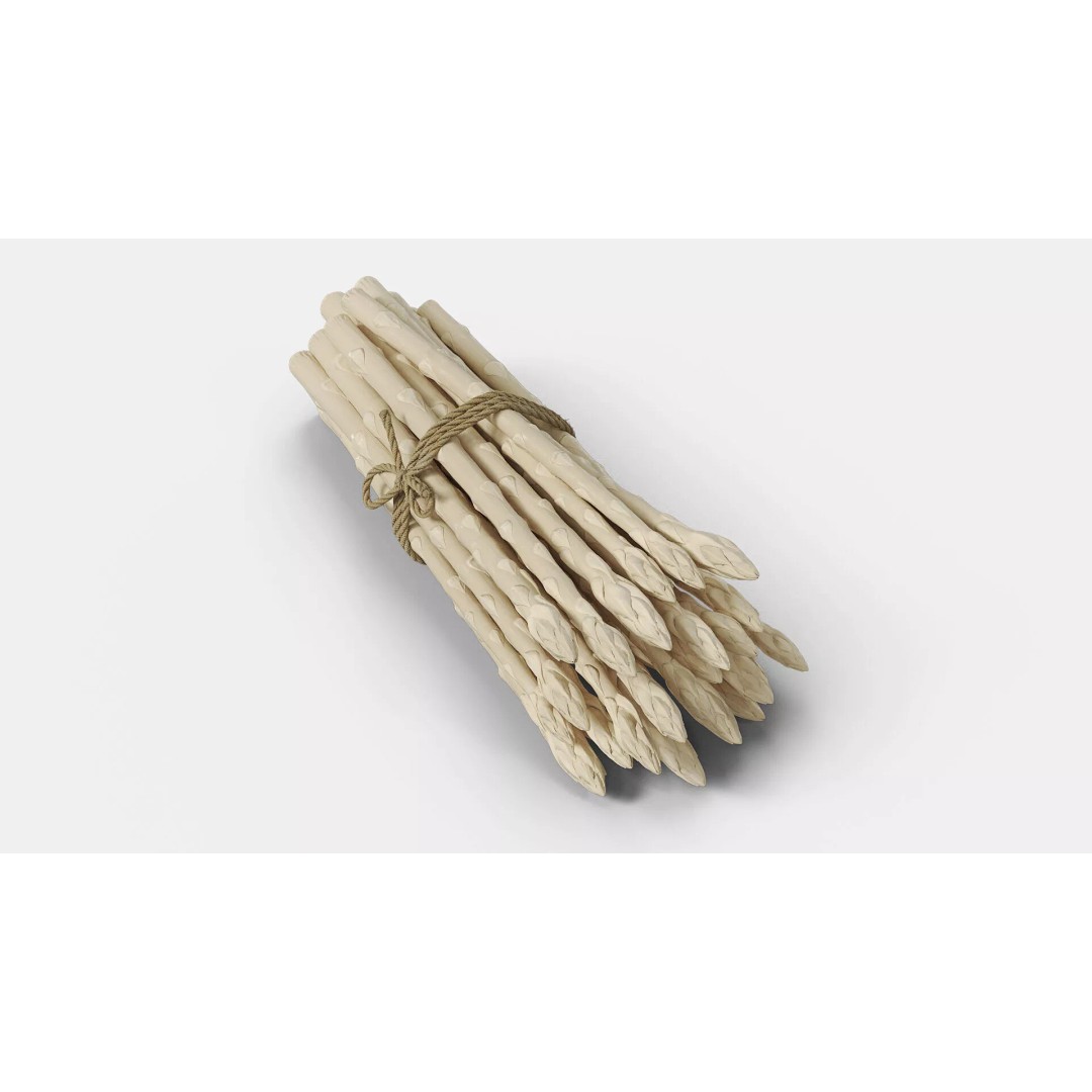 Fresh White Asparagus Spears 3D Model – High Quality PBR Asset, FBX/OBJ - View 3