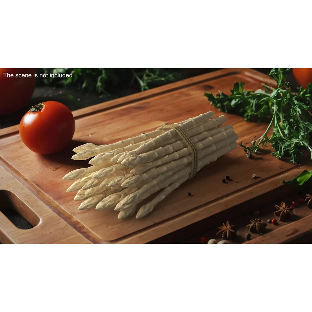 Fresh White Asparagus Spears 3D Model – High Quality PBR Asset, FBX/OBJ - View 4