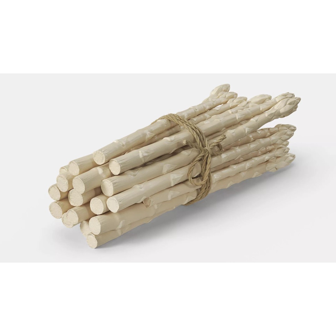Fresh White Asparagus Spears 3D Model – High Quality PBR Asset, FBX/OBJ - View 5