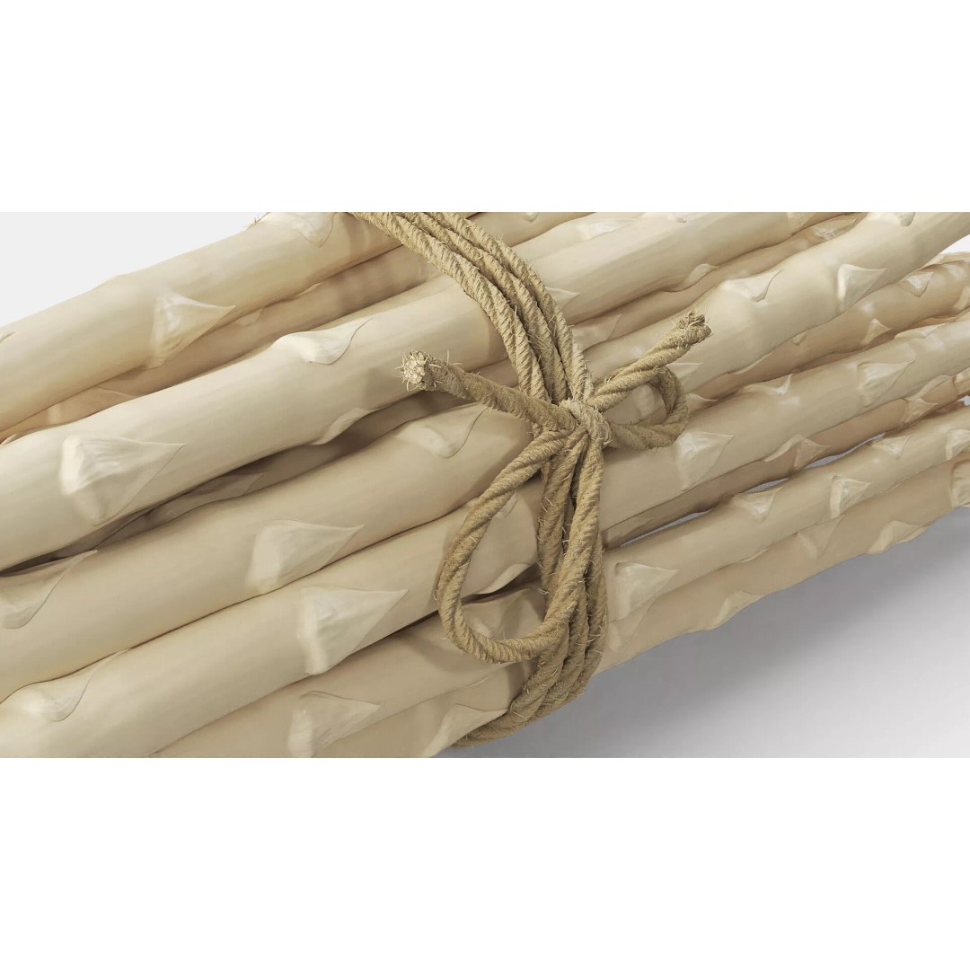 Fresh White Asparagus Spears 3D Model – High Quality PBR Asset, FBX/OBJ - View 6