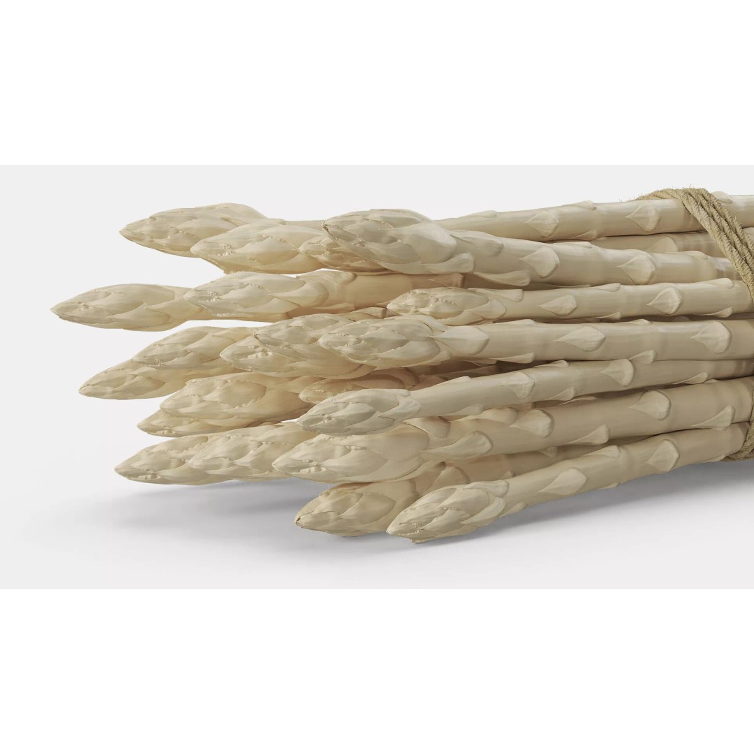 Fresh White Asparagus Spears 3D Model – High Quality PBR Asset, FBX/OBJ - View 7