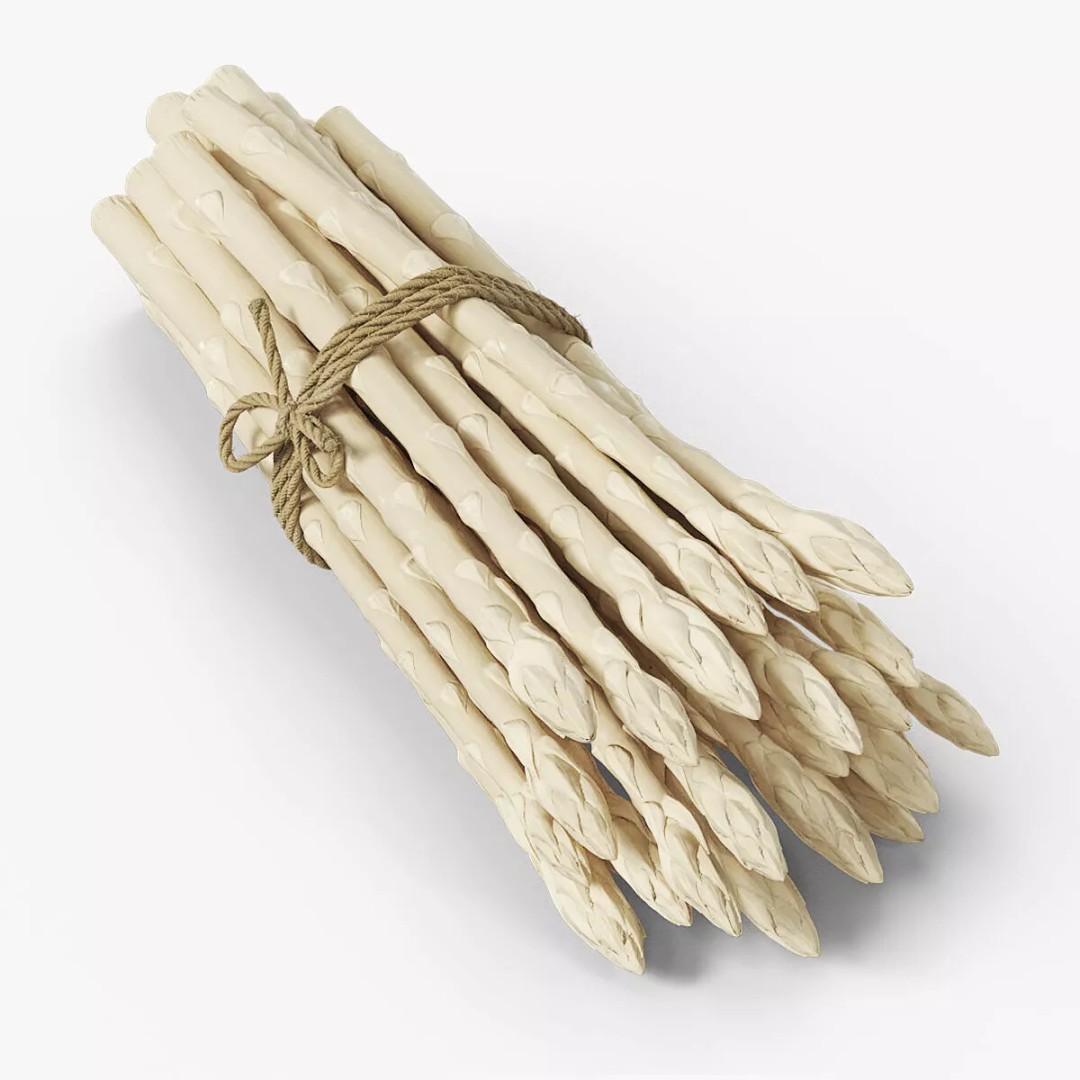 Fresh White Asparagus Spears 3D Model – High Quality PBR Asset, FBX/OBJ - View 8