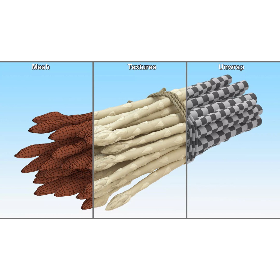 Fresh White Asparagus Spears 3D Model – High Quality PBR Asset, FBX/OBJ - View 9