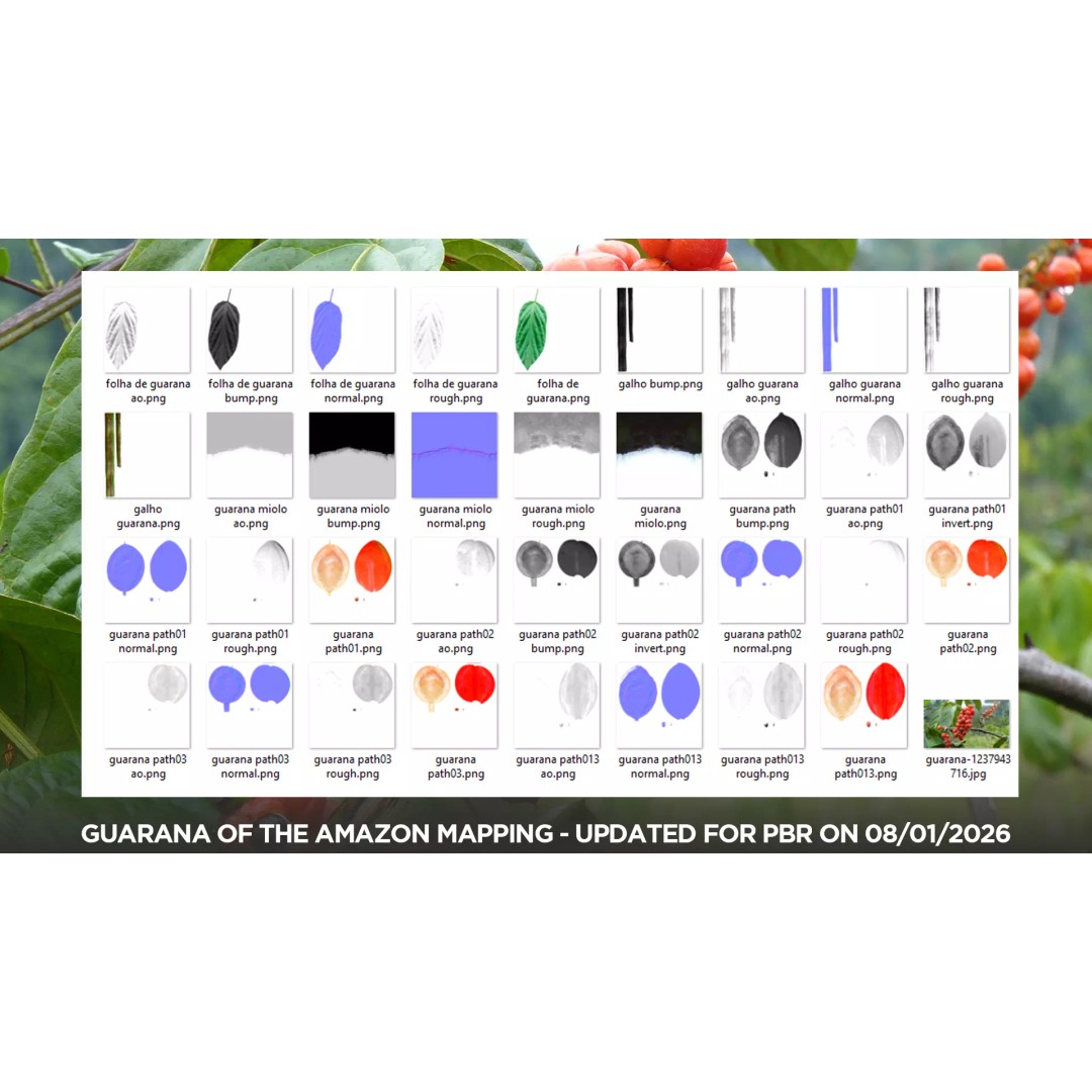 Guarana Of The Amazon 3D Model – Realistic PBR Fruit Asset, FBX