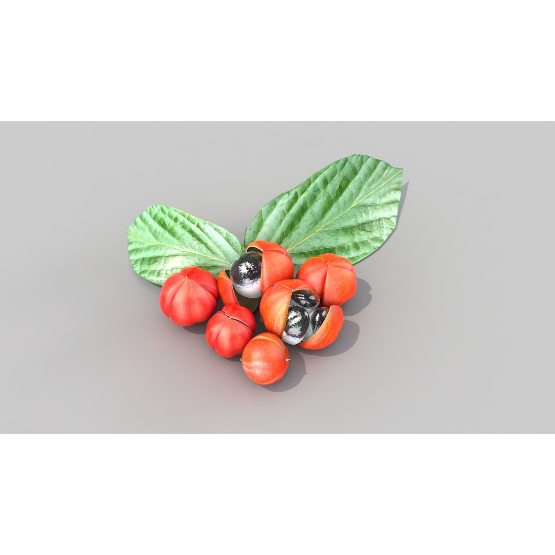 Guarana Of The Amazon 3D Model – Realistic PBR Fruit Asset, FBX - View 10