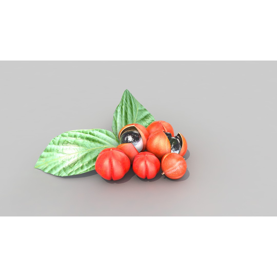 Guarana Of The Amazon 3D Model – Realistic PBR Fruit Asset, FBX - View 11