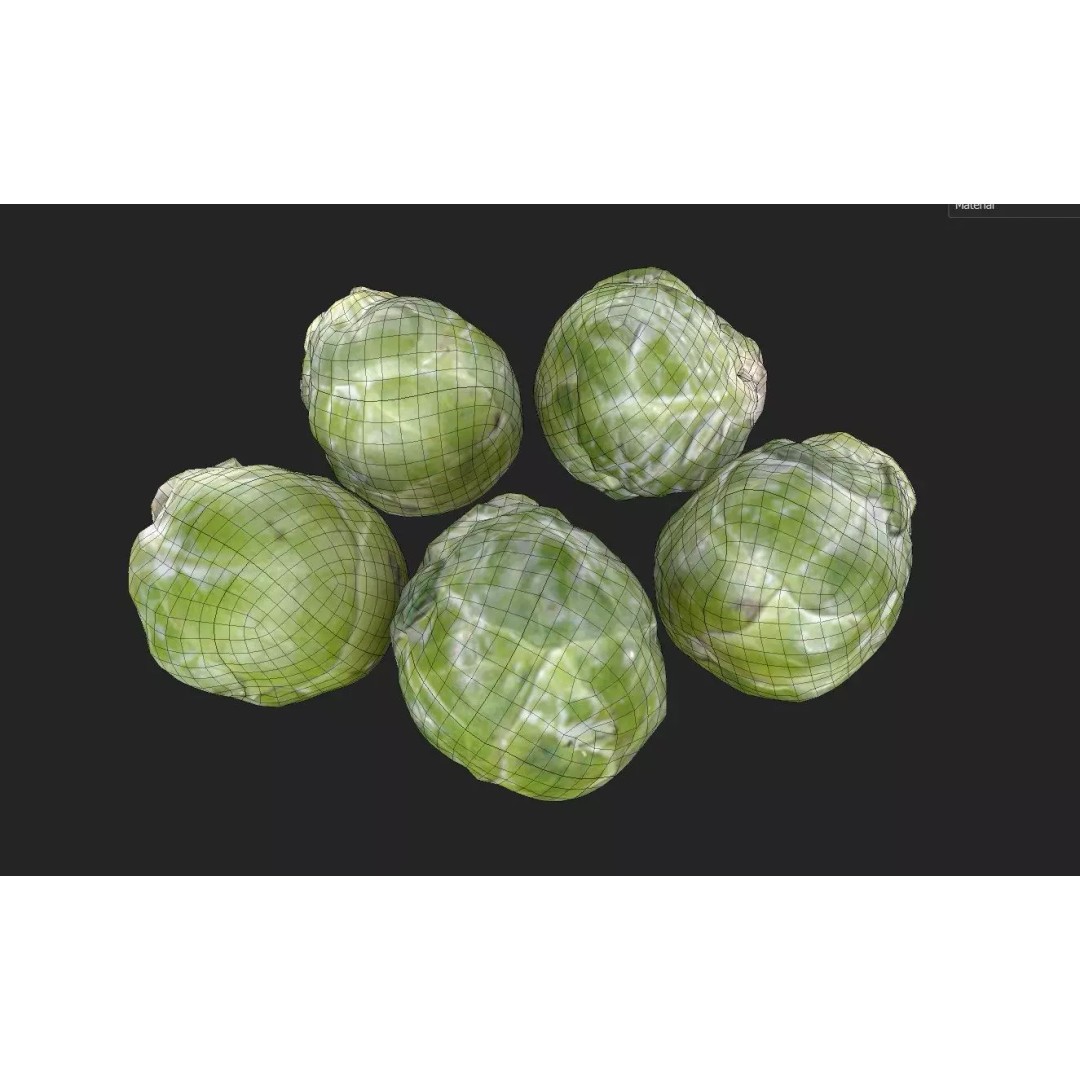 Brussels Sprouts 3D Model – Low Poly Game Asset, FBX, PBR Textures