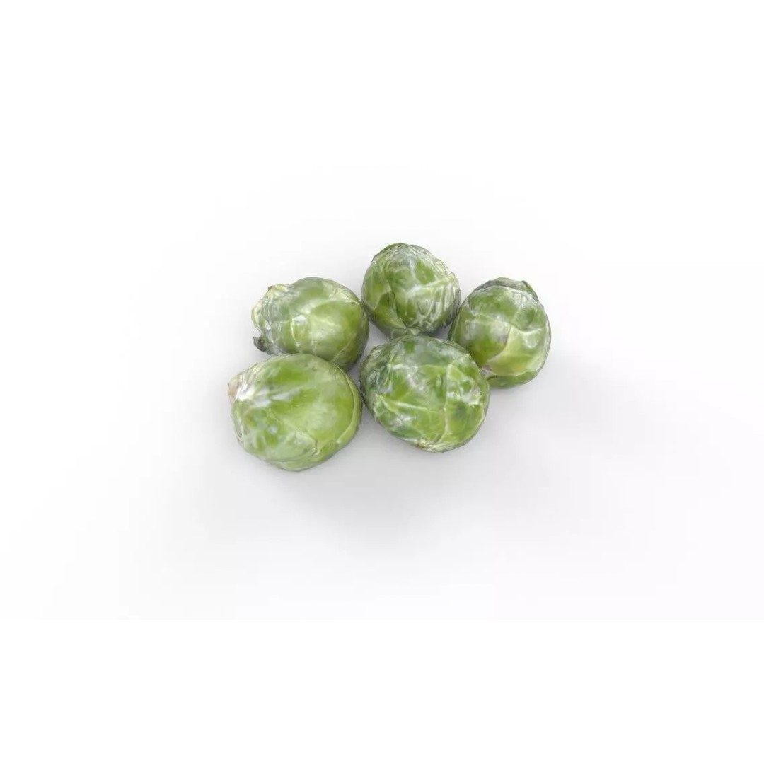 Brussels Sprouts 3D Model – Low Poly Game Asset, FBX, PBR Textures - View 2