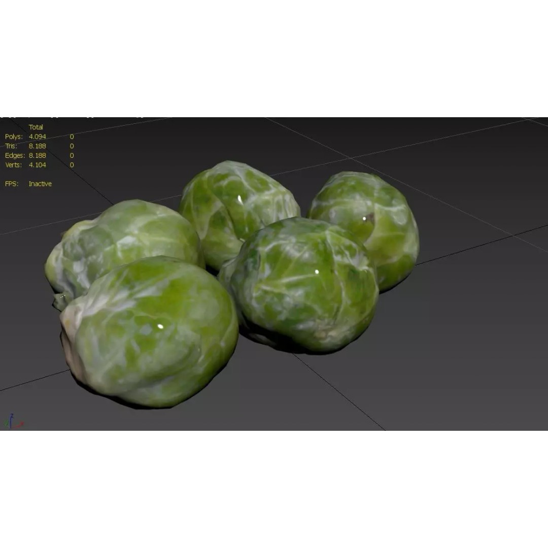 Brussels Sprouts 3D Model – Low Poly Game Asset, FBX, PBR Textures - View 4