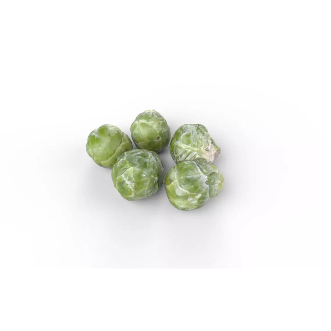 Brussels Sprouts 3D Model – Low Poly Game Asset, FBX, PBR Textures - View 5