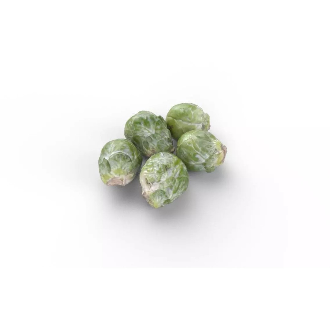 Brussels Sprouts 3D Model – Low Poly Game Asset, FBX, PBR Textures - View 6